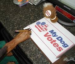 Dog_votes